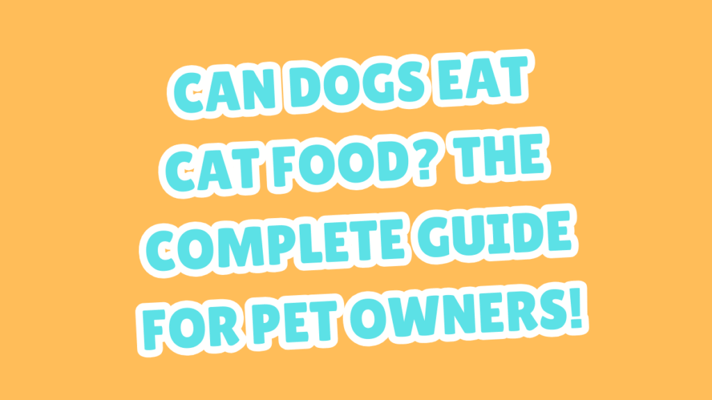 Can Dogs Eat Cat Food? The Complete Guide for Pet Owners 1 Can Dogs Eat Cat Food