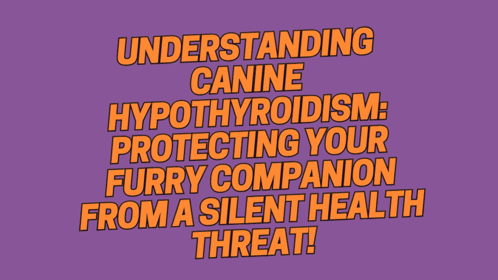 Understanding Canine Hypothyroidism: Protecting Your Furry Companion from a Silent Health Threat 1 Canine Hypothyroidism