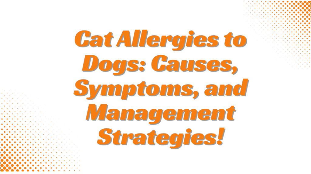 Cat Allergies to Dogs: Causes, Symptoms, and Management Strategies 1 Cat Allergies to Dogs