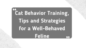 Cat Training Basics: Positive, Simple Ways to Teach Your Cat 9 Cat Behavior Training