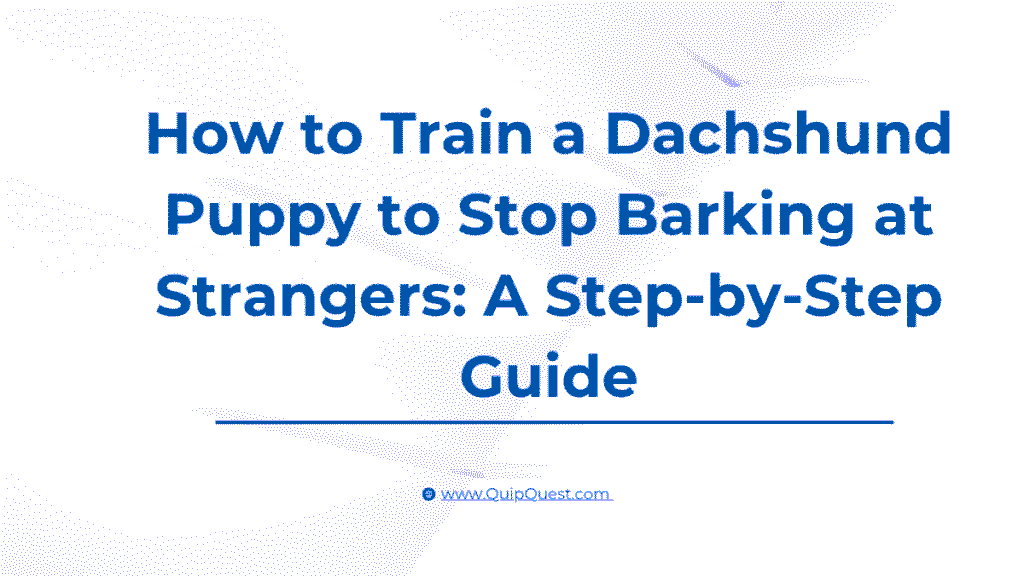 How to Train a Dachshund Puppy to Stop Barking at Strangers: A Step-by-Step Guide 1 Dachshund Puppy to Stop Barking