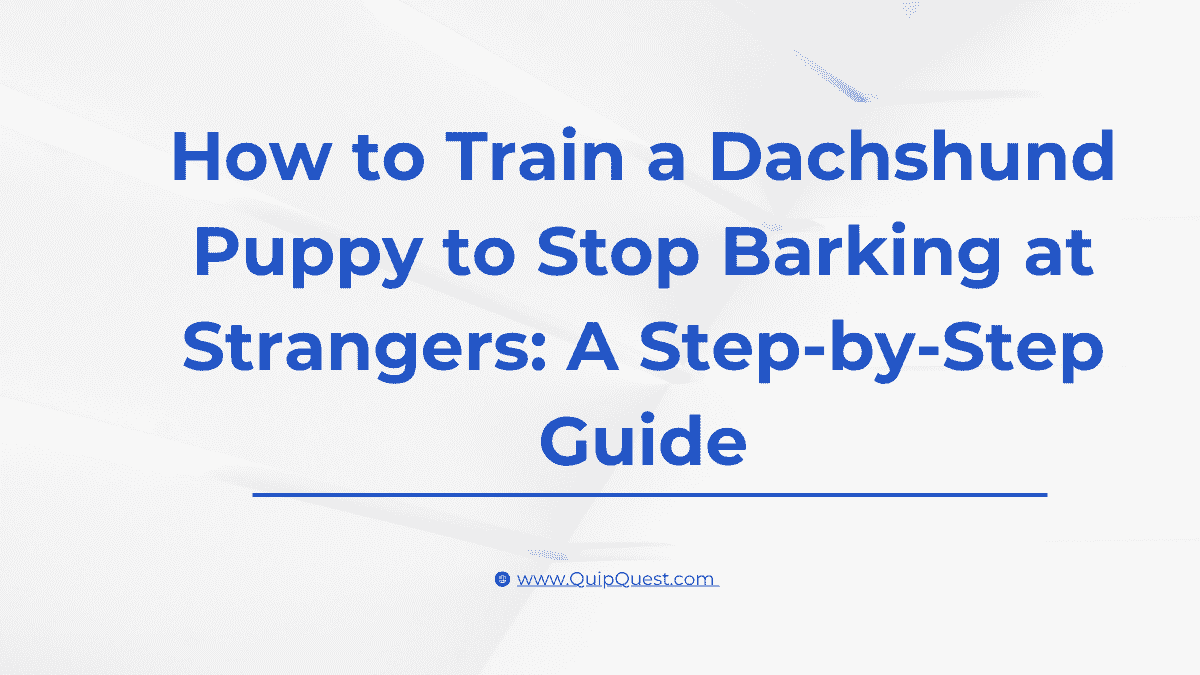 Dachshund Puppy to Stop Barking