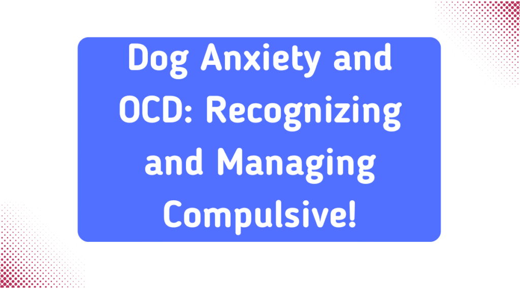 Dog Anxiety and OCD: Recognizing and Managing Compulsive Behaviors 1 Dog Anxiety and OCD