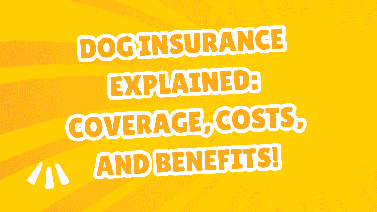 Dog Insurance