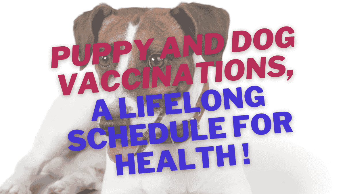 Dog Vaccinations