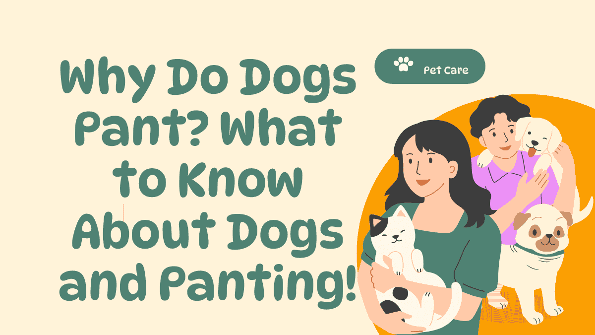 Dogs Pant