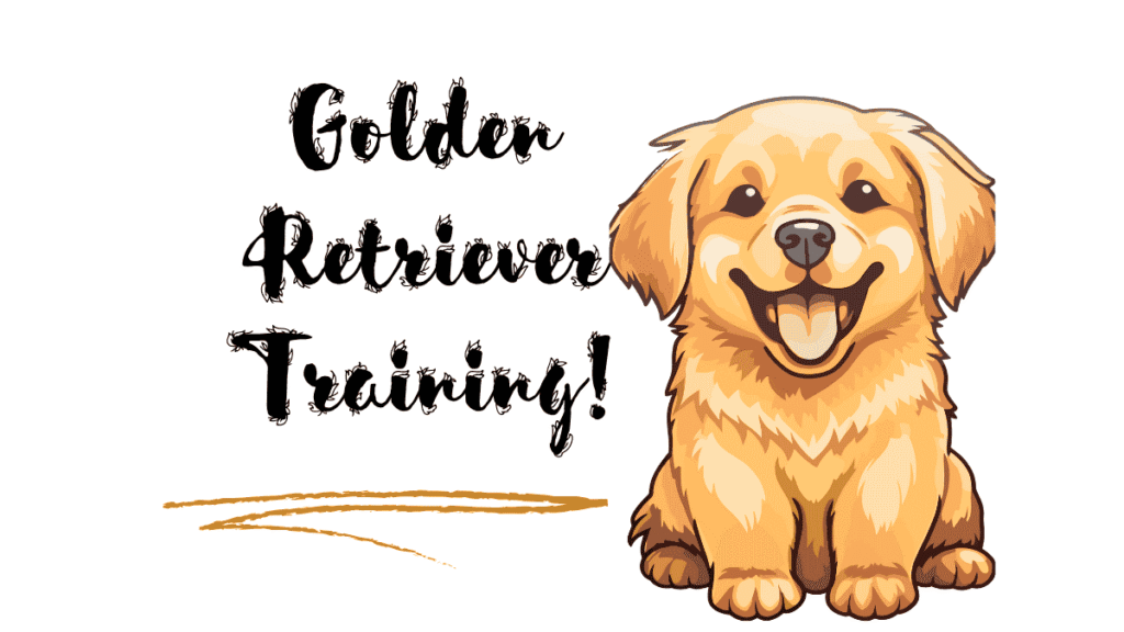 Golden Retriever Training 101: Raising a Polite, Playful, and Happy Pup 1 Golden Retriever Training
