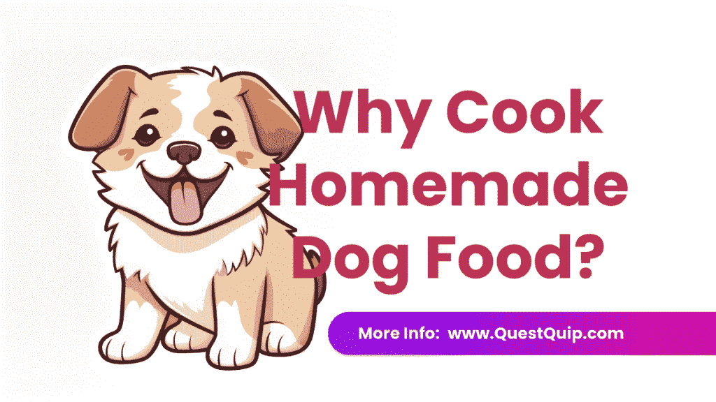Why Cook Homemade Dog Food? 1 Homemade Dog Food