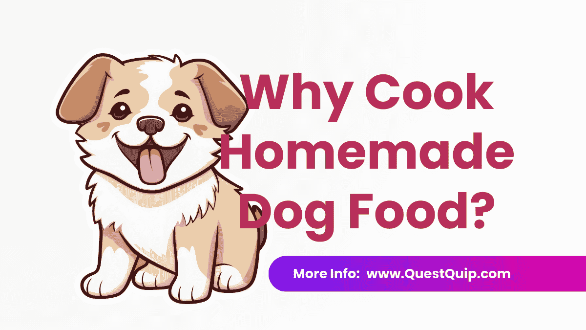 Homemade Dog Food