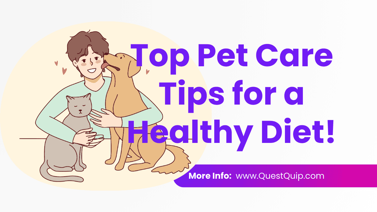 Pet Care Tips