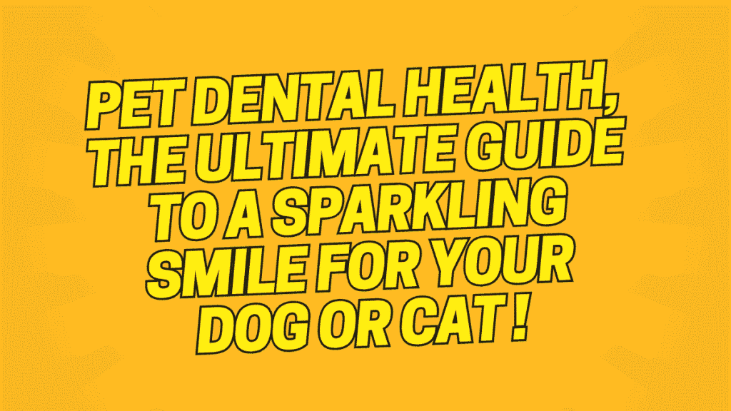 Pet Dental Health