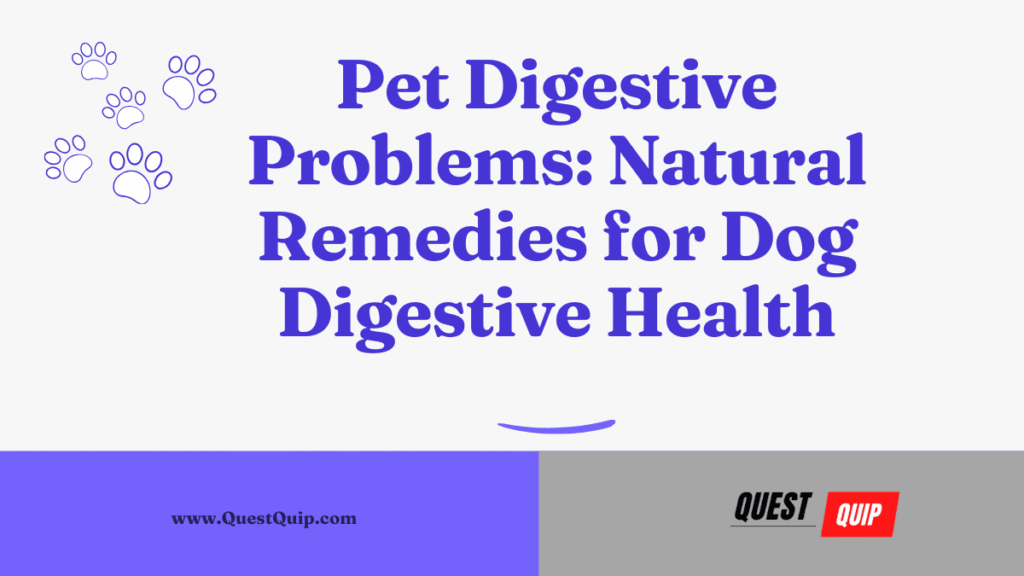 Pet Digestive Problems