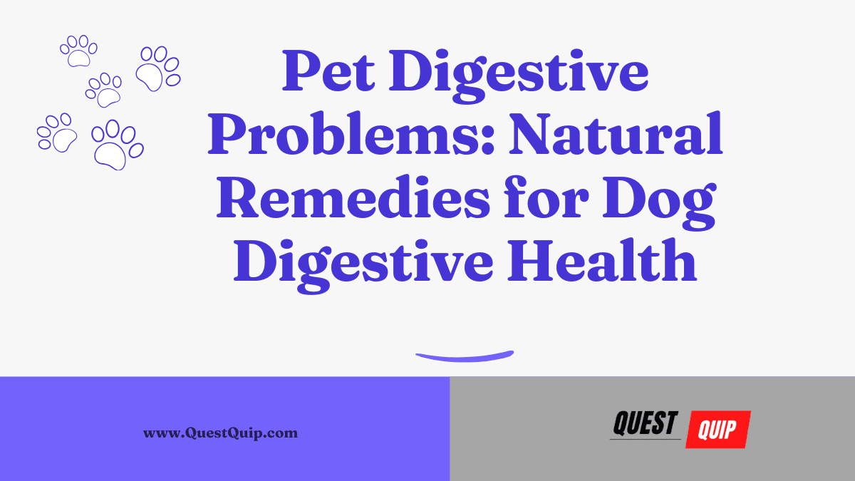 Pet Digestive Problems