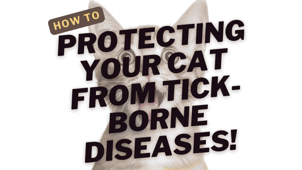 Protecting Your Cat from Tick-Borne Diseases: Understanding the 6 Key Threats to Feline Health 1 Tick-Borne Diseases