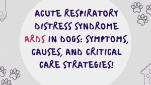 ARDS in Dogs