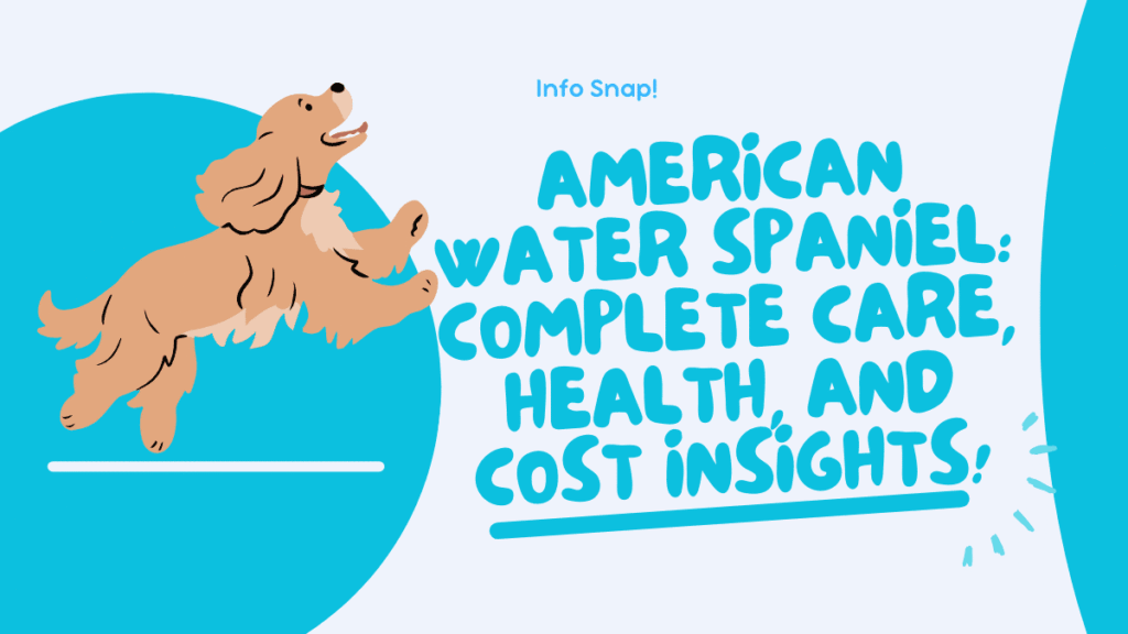 American Water Spaniel