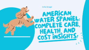American Water Spaniel