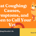 Cat Coughing