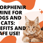 Chlorpheniramine for Dogs and Cats