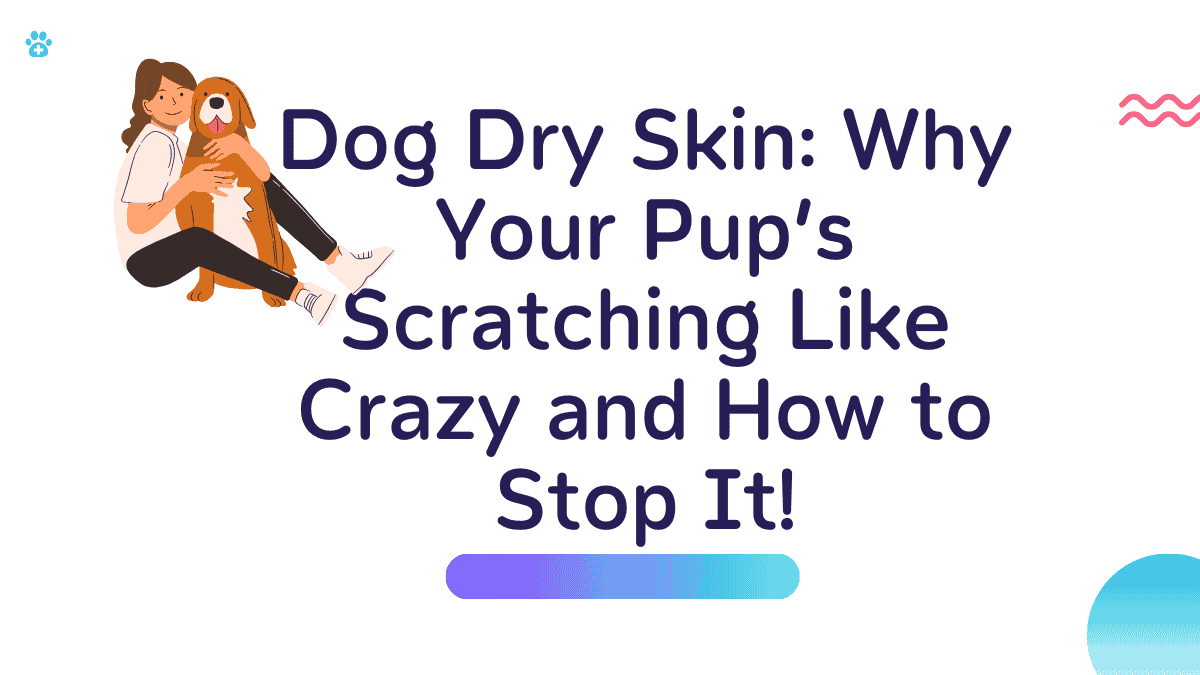 Dog Dry Skin