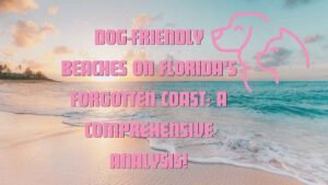 Dog-Friendly Beaches