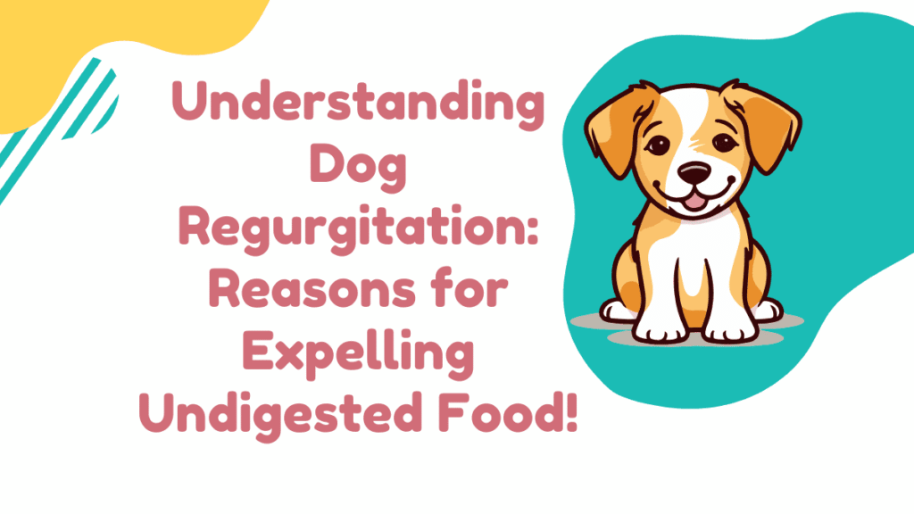Dog Regurgitation