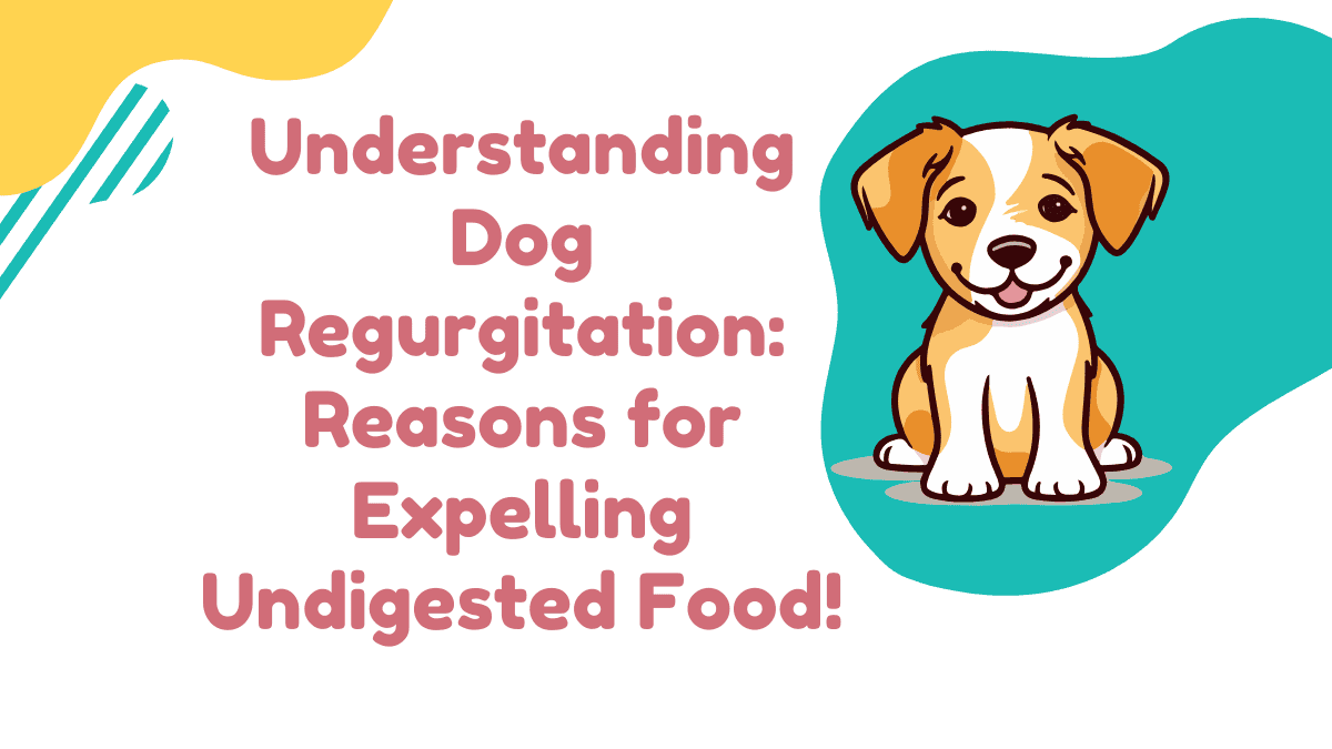 Dog Regurgitation