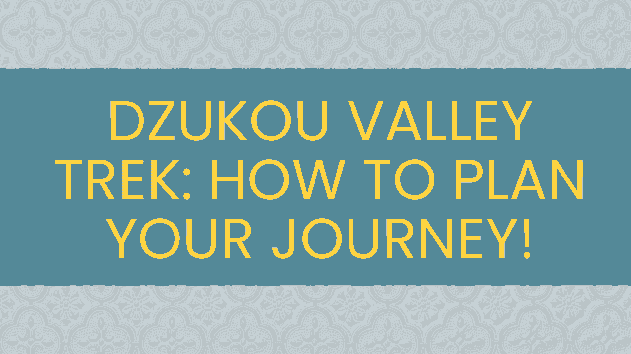 Dzukou Valley Trek