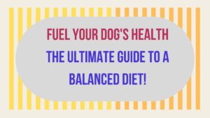 Fuel Your Dog's Health