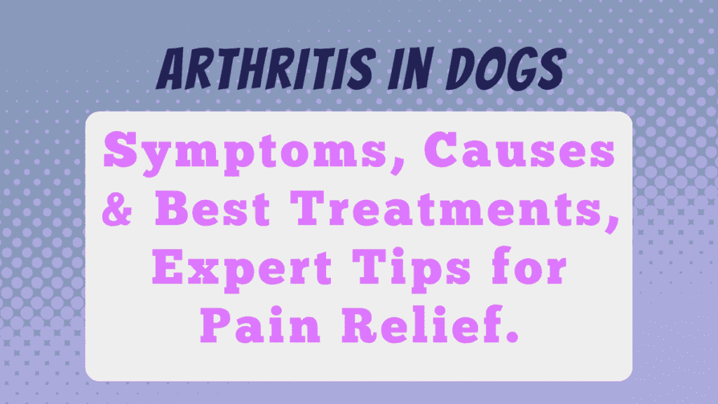 Arthritis in Dogs