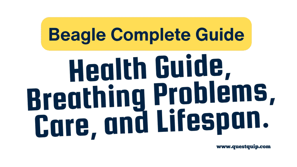Beagle Complete Guide