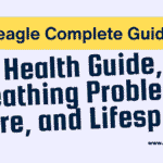 Beagle Complete Guide