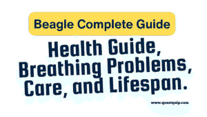 Beagle Complete Guide