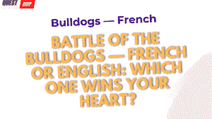 Bulldogs — French