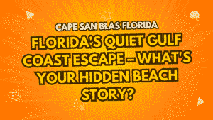 Cape San Blas Florida Travel Guide: Florida's Quiet Gulf Coast Escape – What's Your Hidden Beach Story? 9 Cape San Blas Florida