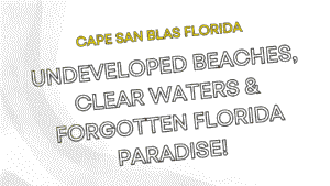 The Complete Cape San Blas Florida Travel Guide: Undeveloped Beaches, Clear Waters & Forgotten Florida Paradise 4 Cape San Blas Florida