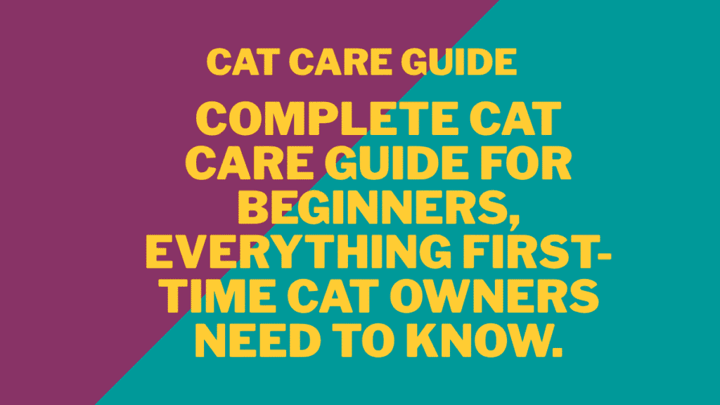 Cat Care