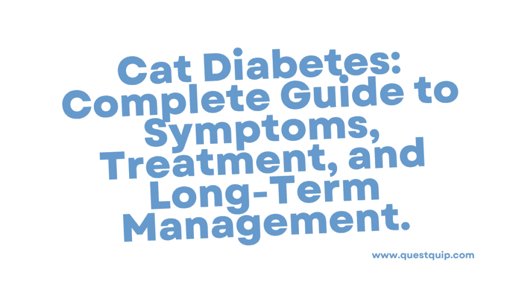 Cat Diabetes