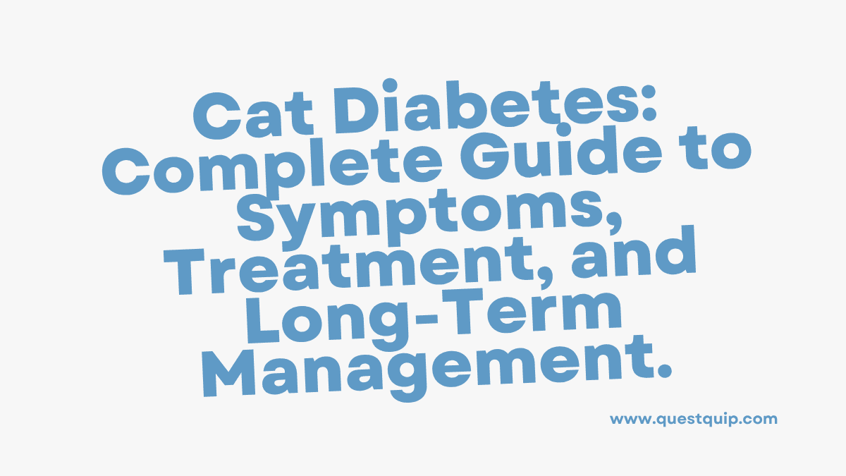 Cat Diabetes