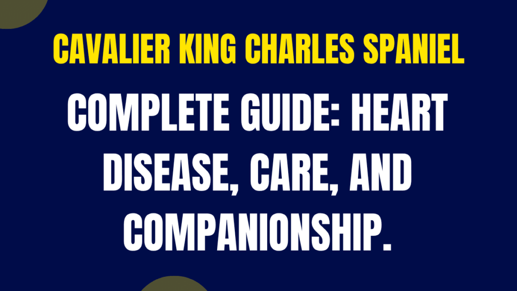 Cavalier King Charles Spaniel Complete Guide: Heart Disease, Care, and Companionship 1 Cavalier King Charles Spaniel