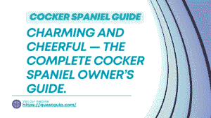 Cocker Spaniel Guide