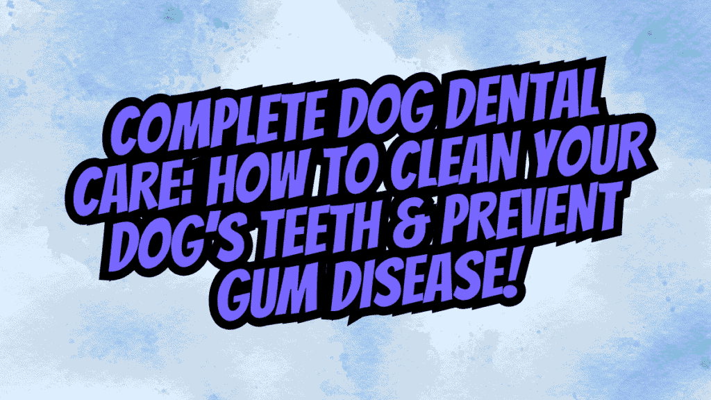 Complete Dog Dental Care