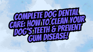 Complete Dog Dental Care