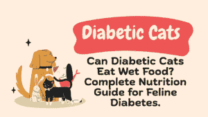Can Diabetic Cats Eat Wet Food? Complete Nutrition Guide for Feline Diabetes 9 Diabetic Cats