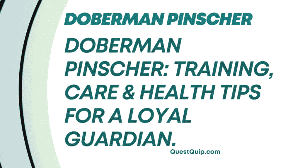 Doberman Pinscher