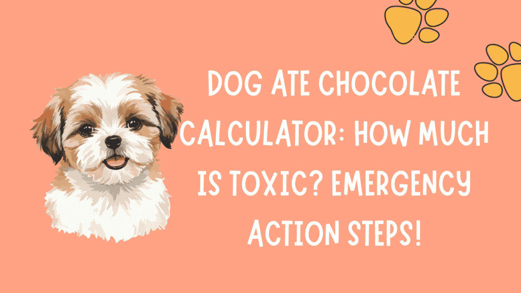 Dog Ate Chocolate Calculator: How Much Is Toxic? Emergency Action Steps 1 Dog Ate Chocolate Calculator