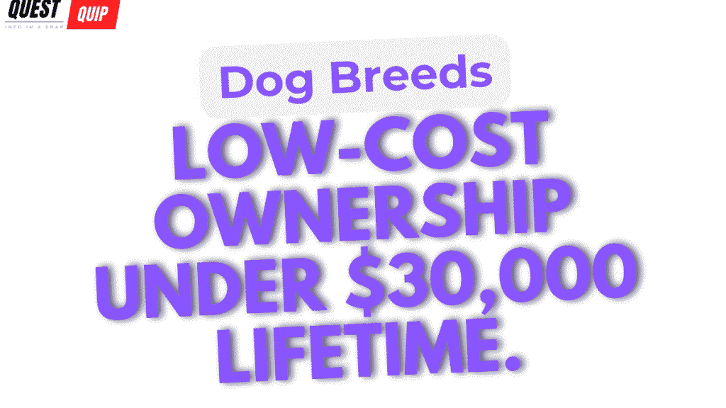 Dog Breeds