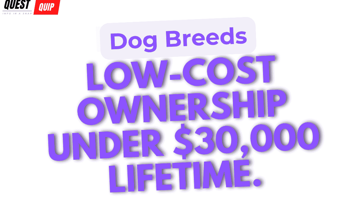 Dog Breeds