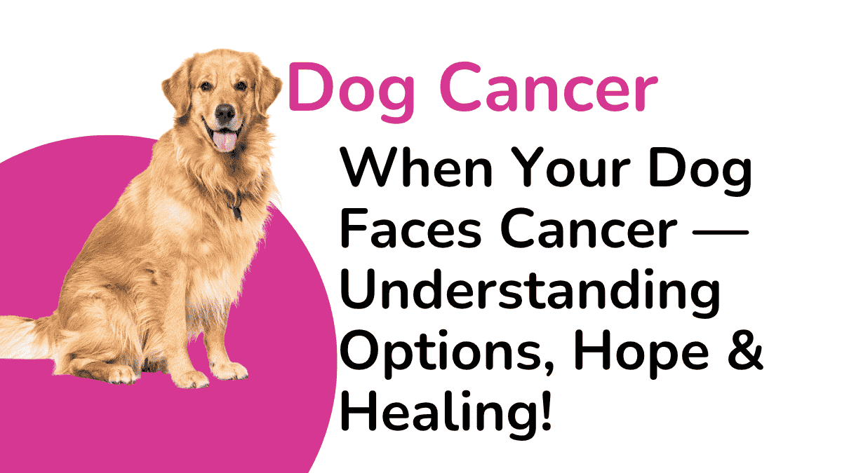 Dog Cancer