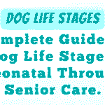 Dog Life Stages